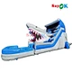 inflateable water slide1